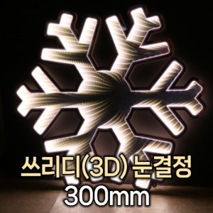 쓰리디(3D) 눈결정 300/조명/야외/크리스마스/LED조명/겨울축제/페스티벌/빛축제